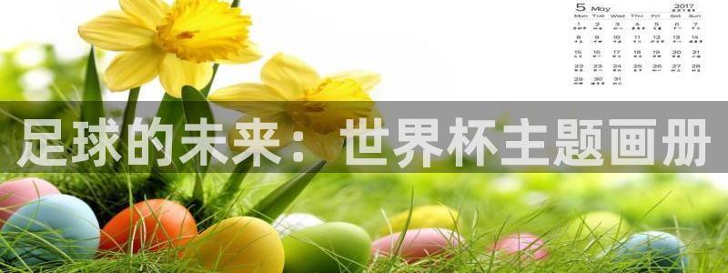 世界杯球赛:足球的未来:世界杯主题画册
