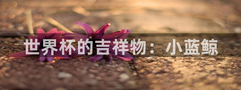 世界杯亚洲预选赛18强赛程:世界杯的吉祥物:小蓝鲸