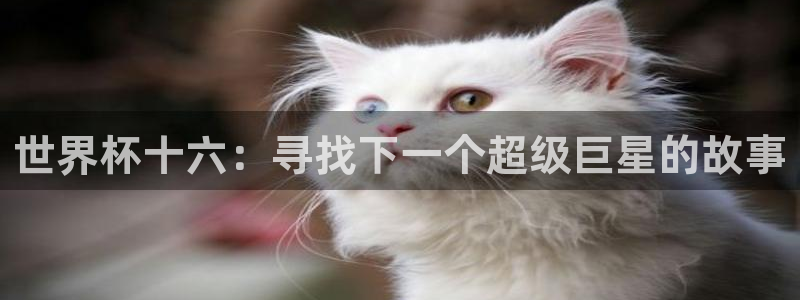 2026世界杯中国队:世界杯十六:寻找下一个超级巨星的故事
