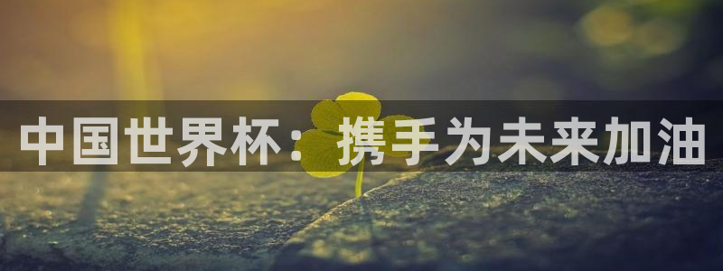 世界杯:中国世界杯:携手为未来加油