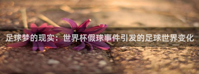 欧联杯直播:足球梦的现实:世界杯假球事件引发的足球世界变化