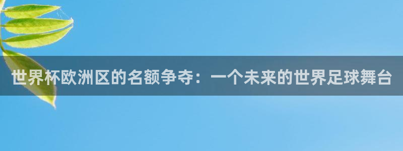 世界杯视频:世界杯欧洲区的名额争夺:一个未来的世界足球舞台