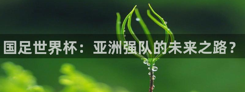 世界杯:国足世界杯:亚洲强队的未来之路?