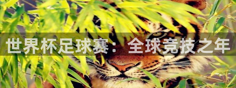 今天所有足球赛程表:世界杯足球赛:全球竞技之年